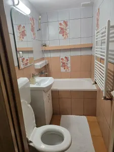 Apartament 2 camere Timișoara - poza 8