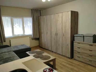 Apartament 3 camere Timișoara - poza 3