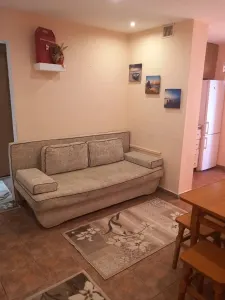 Apartament 2 camere Timișoara - poza 3