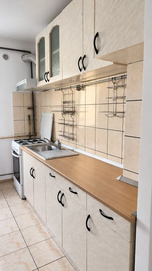 Apartament 2 camere Timișoara - poza 1
