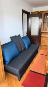 Apartament 2 camere Timișoara - poza 3