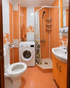 Garsonieră Timișoara - poza 8