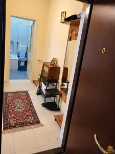 Garsonieră Timișoara - poza 4