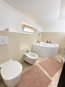 Casă 4 camere Timișoara - poza 22