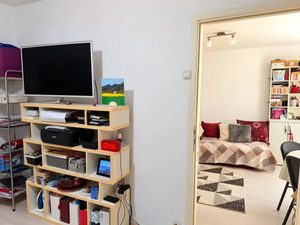 Apartament 2 camere Timișoara - poza 6