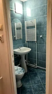 Garsonieră Timișoara - poza 7