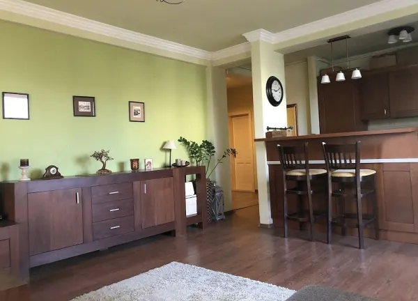 Apartament 2 camere Timișoara - poza 1