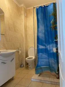 Apartament 3 camere Timișoara - poza 11