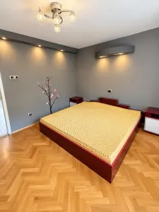 Apartament 3 camere Timișoara - poza 14