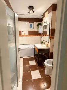 Apartament 3 camere Timișoara - poza 18