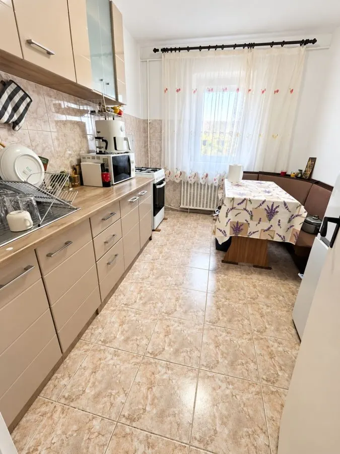 Apartament 2 camere Timișoara - poza 1