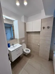 Apartament 2 camere Timișoara - poza 13