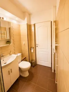 Apartament 2 camere Timișoara - poza 11