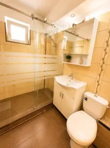 Apartament 2 camere Timișoara - poza 10