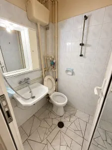 Garsonieră Timișoara - poza 10