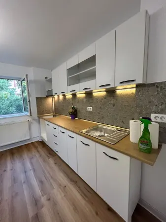 Apartament 2 camere Timișoara - poza 4