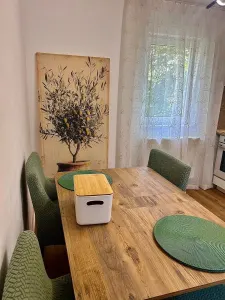 Apartament 2 camere Timișoara - poza 6