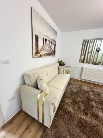 Apartament 2 camere Timișoara - poza 8