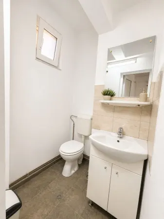 Spațiu comercial Timișoara - poza 4