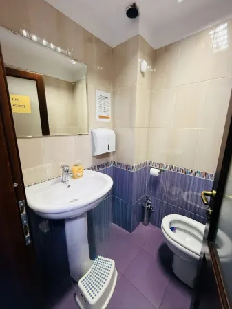 Casă 15 camere Timișoara - poza 19