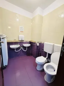 Casă 15 camere Timișoara - poza 27