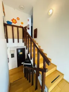 Casă 15 camere Timișoara - poza 32