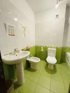Casă 15 camere Timișoara - poza 33
