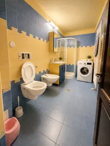 Casă 15 camere Timișoara - poza 41