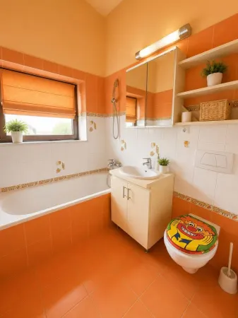 Casă 15 camere Timișoara - poza 43
