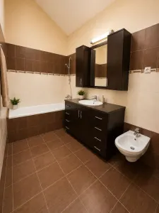 Casă 15 camere Timișoara - poza 46