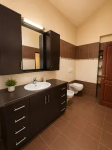 Casă 15 camere Timișoara - poza 47