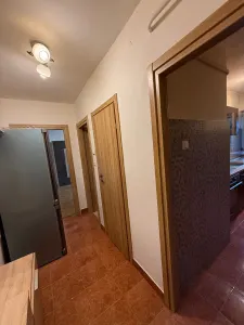 Garsonieră Timișoara - poza 11