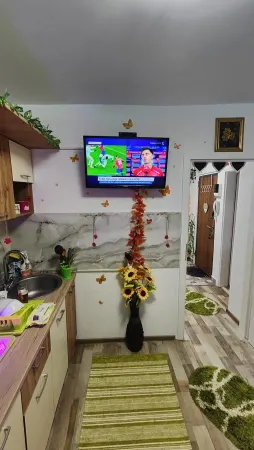 Apartament 2 camere Timișoara - poza 6