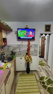 Apartament 2 camere Timișoara - poza 6