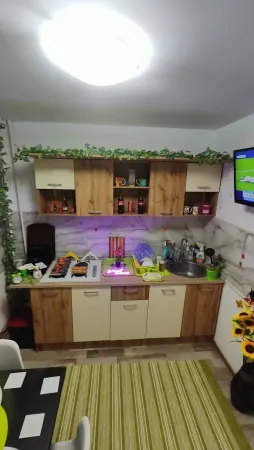 Apartament 2 camere Timișoara - poza 7