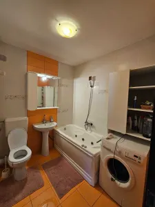 Apartament 2 camere Giroc - poza 5