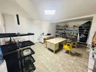 Spațiu comercial Sacosu Turcesc - poza 11