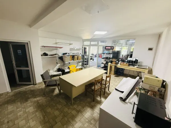 Spațiu comercial Sacosu Turcesc - poza 14