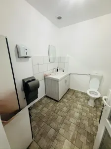 Spațiu comercial Sacosu Turcesc - poza 15