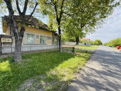 Teren Timișoara - poza 2