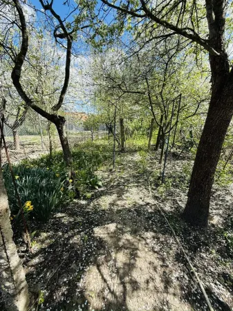 Casă 4 camere Timișoara - poza 6