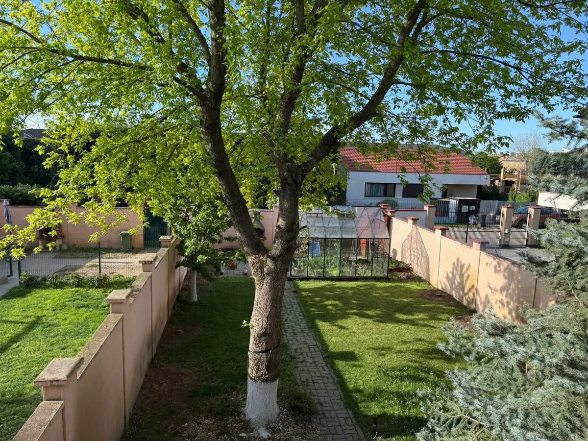 Casă 4 camere Timișoara - poza 1