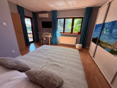 Casă 4 camere Timișoara - poza 14