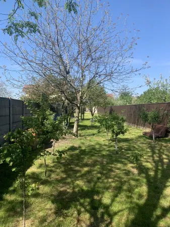 Casă 5 camere Timișoara - poza 6