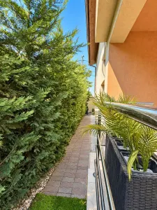 Casă 4 camere Timișoara - poza 5