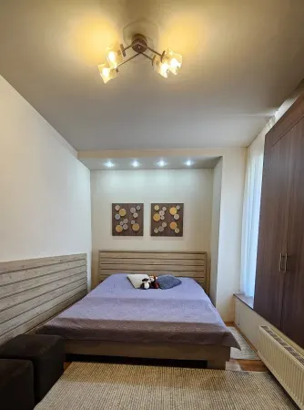Casă 5 camere Timișoara - poza 14