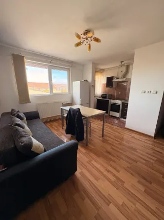 Apartament 2 camere Timișoara - poza 7