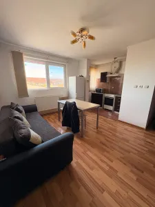 Apartament 2 camere Timișoara - poza 7