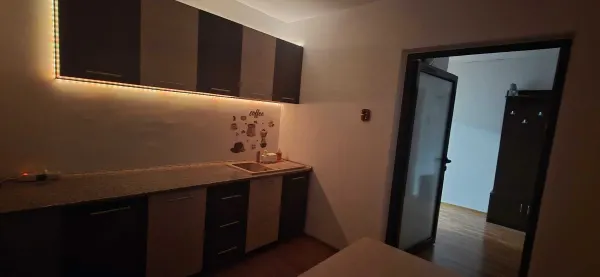 Apartament 3 camere Timișoara - poza 4