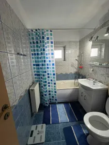 Apartament 3 camere Timișoara - poza 4